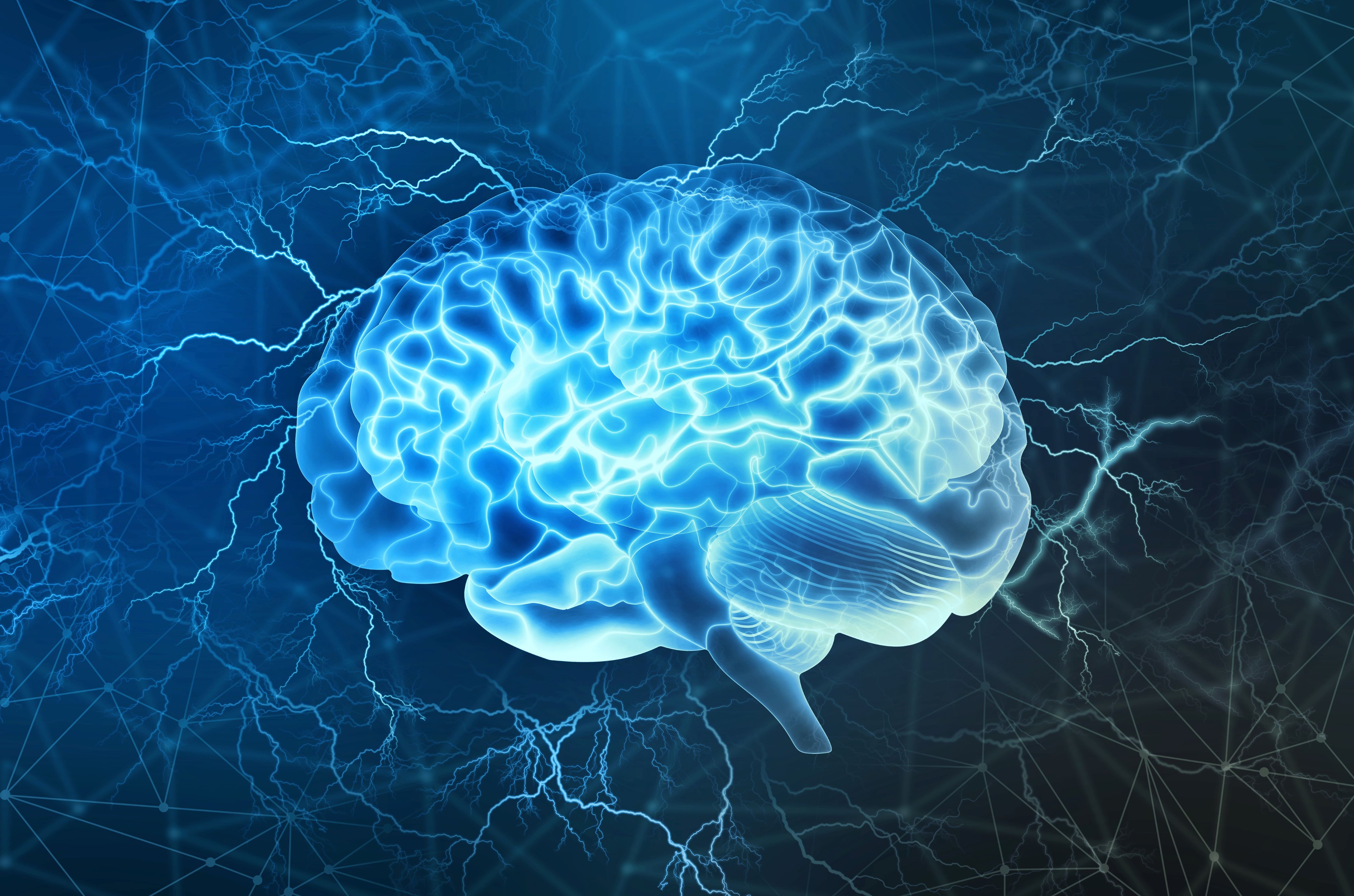 brain graphic