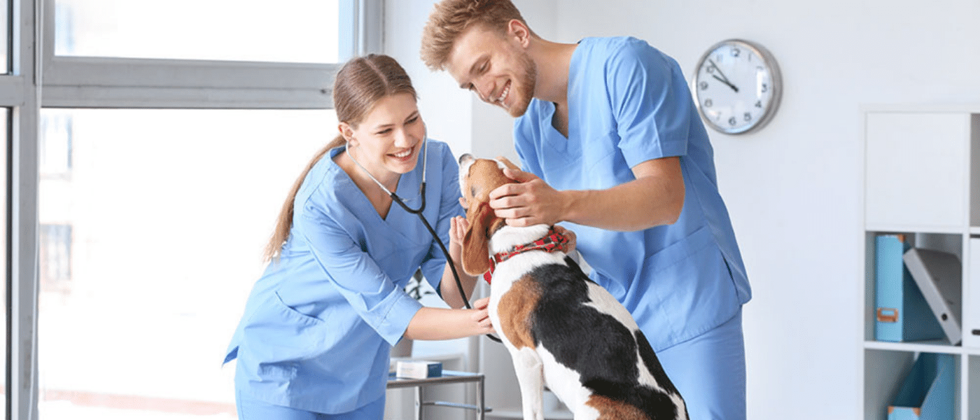veterinarians with patient (dog)